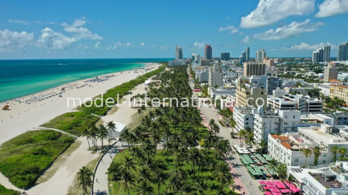 Miami Luxury Guide: South Beach, Brickell & Nightlife Miami Luxury Guide: South Beach, Brickell & Nightlife